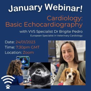 ❣️ Cardiology Webinar! ❣️

Here at VVS we are looking forward to another year of helping vets to access specialist advice and support for their clinical cases in practice.

We are kicking off the year by offering a FREE evening webinar with VVS cardiology specialist Dr Brigite Pedro. 

Join Brigite at 7.30pm on Tuesday 24th January as she shares her top tips on basic echocardiography. From how to position yourself comfortably when scanning to common echo views and how to obtain them. 

 💻 What: 'Basic Echocardiography' with Dr Brigite Pedro
 📅 When: Tuesday 24th January
 ⏲️ Time: 7.30pm
 🗺️ Where: Zoom
 
Register for free here: https://buff.ly/3vGlOG8 

https://buff.ly/3B9TKMU

#webinar #vetwebinar #vetcpd #veterinarycpd #vetlearning #vetcardio #veterinarycardiology #cpd #vetmed #virtualvet #virtualreferral #virtualspecialist #veterinaryspecialist