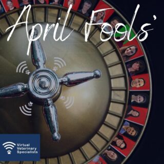 April Fools! 🃏 

Fear not, we will most definitely not be introducing the VVS Roulette!
 
Our advice calls are always tailored to your needs and specific to your case requirements. We request history in advance of the call to ensure the specialist from your requested discipline are fully up to date with your patient’s history and your key concerns. They are organized for a time convenient to you. 👏 

See our specialists as a supportive extension of your clinical team. 

We can support you with your clinical cases in 11 specialist veterinary disciplines... 

• Cardiology ❤️ 
• Anaesthesia 💉 
• Internal Medicine 📋 
• Feline Medicine 🐱
• Oncology 💊 
• Diagnostic Imaging 💻 
• Neurology 🧠 
• Dermatology 🐩 
• Ophthalmology 👁️ 
• Exotics 🦎 
• Dentistry 🦷 

To arrange specialist support for your clinical case with one of our friendly, experienced specialists email info@vvs.vet to arrange or complete our referral form on our website. 

Support is available as a specialist advice call or as a written report depending on your preference. www.vvs.vet/refer-a-case/ 

#virtualvet #virtualreferral #virtualspecialist #vvs #veterinarysepcialist #veterinarysupport #veterinarycare #vetcpd #veterinarycpd #clinicalsupport #aprilfools